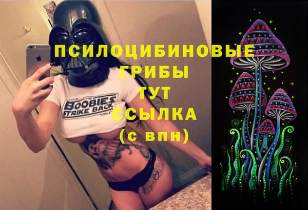 кокс Абаза