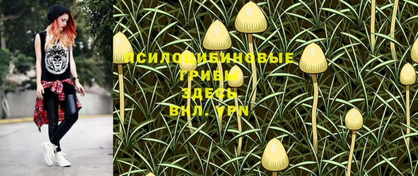 кокс Абаза