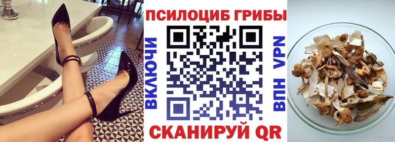 как найти закладки Краснодар Псилоцибиновые грибы MAGIC MUSHROOMS