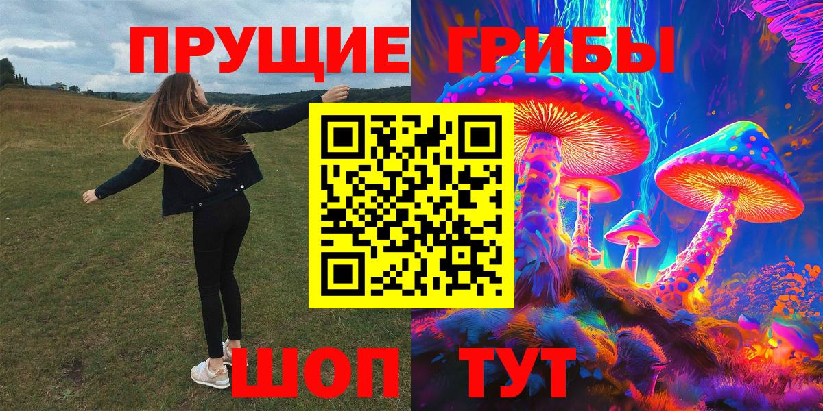 Галлюциногенные грибы Psilocybine cubensis Краснодар