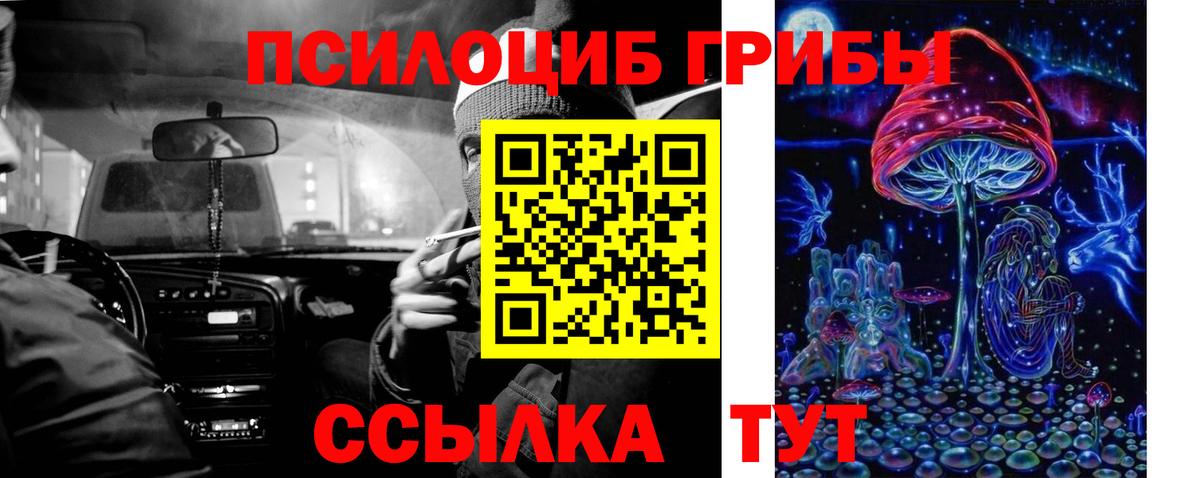 наркошоп  Псилоцибиновые грибы Cubensis  Вход с VPN  Краснодар 